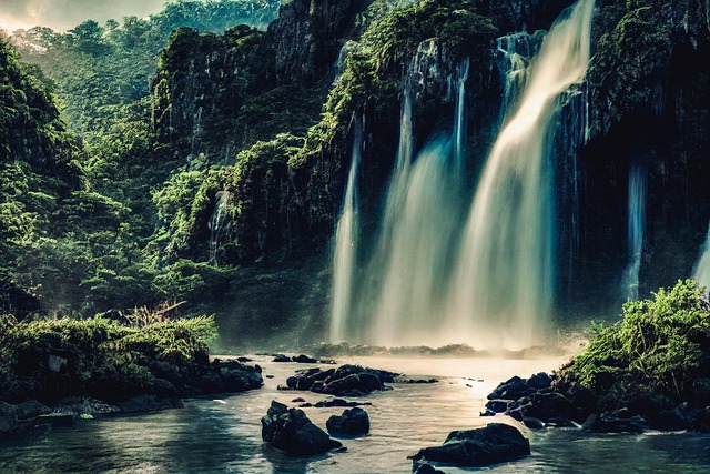 Indigenous people protecting forest land