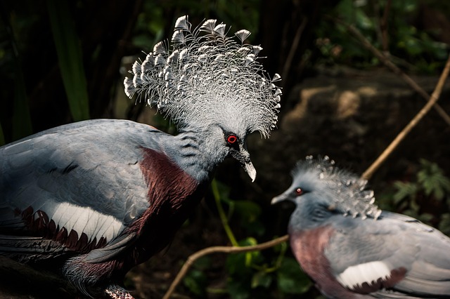 Local community members engaged in forest restoration