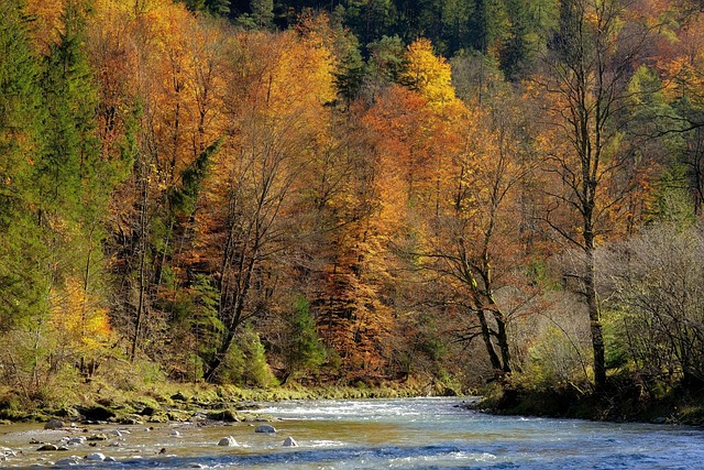 Deforested landscape showing forest loss and cleared land