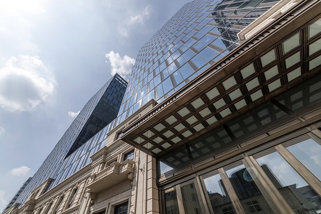 Government officials discussing forest conservation policy