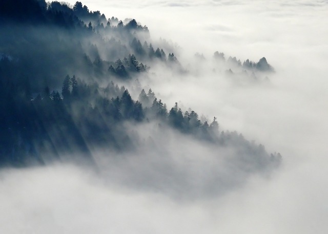 Deforested landscape showing forest loss and cleared land