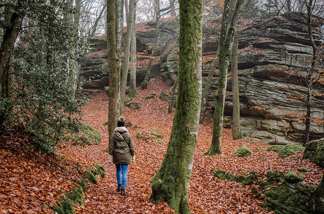 Local community members engaged in forest restoration