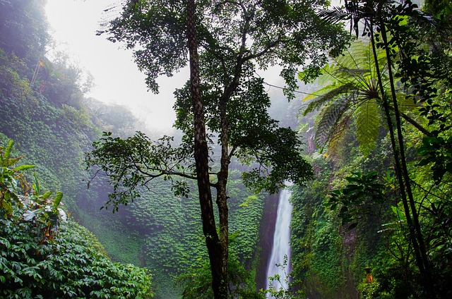 Government officials discussing forest conservation policy