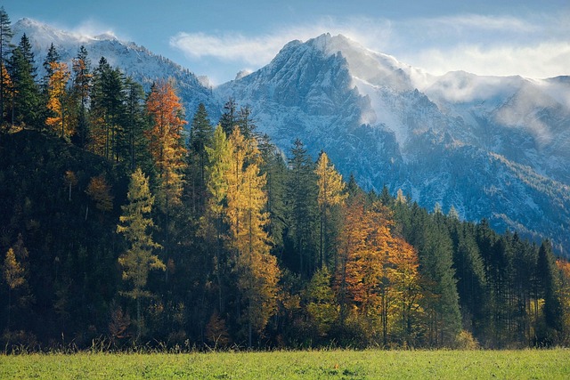 Agricultural land expansion affecting forest areas