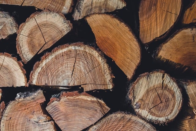 Drone technology used for forest monitoring and tree planting