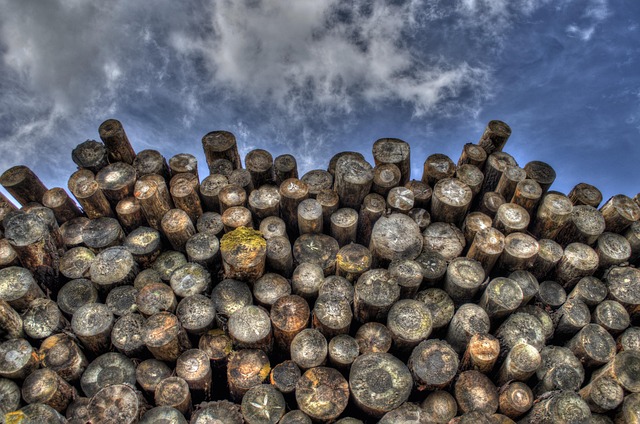 Agricultural land expansion affecting forest areas