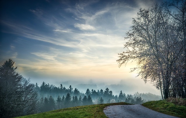 Agricultural land expansion affecting forest areas