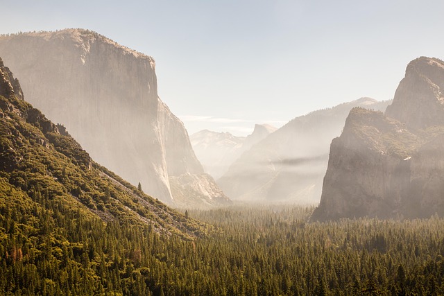 Forest fire prevention and restoration challenges