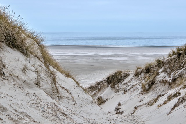 Desert greening project showing transformed arid landscape