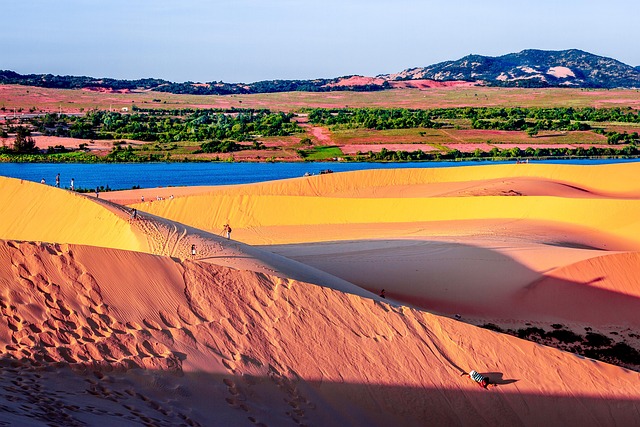 Satellite monitoring of desert greening progress