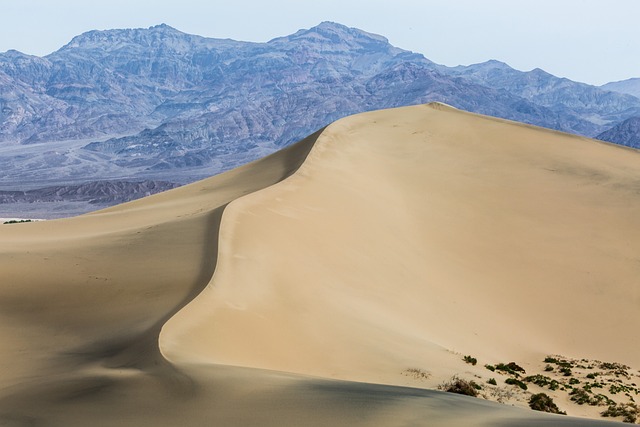 Overcoming challenges in desert greening
