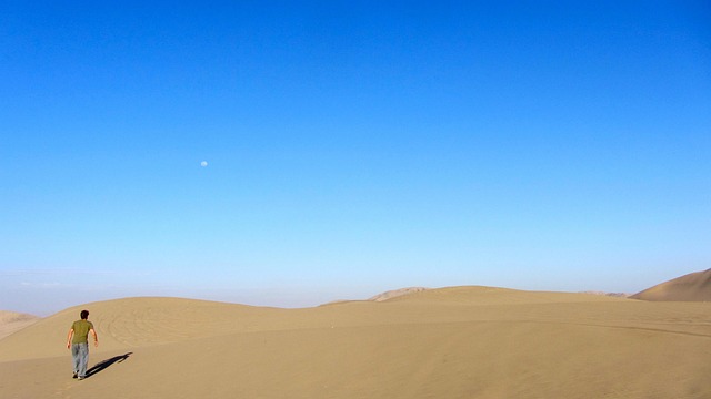 Desert greening project showing transformed arid landscape