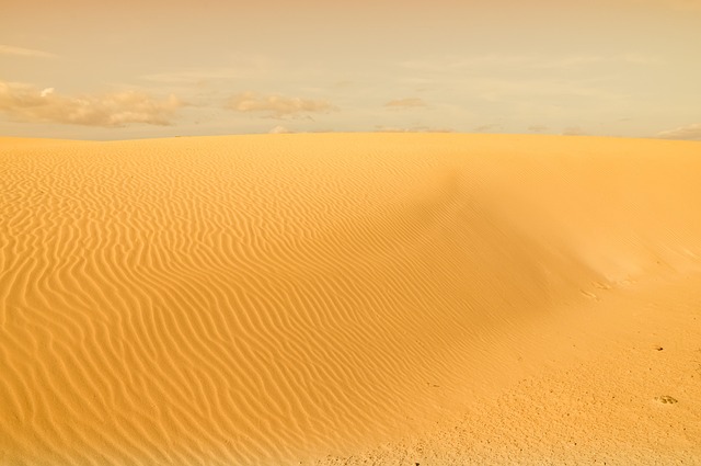 Sand dune stabilization techniques