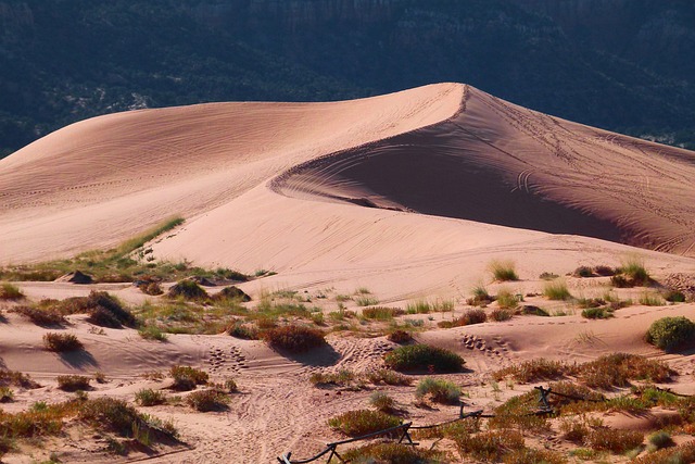 Innovative water management system in desert region