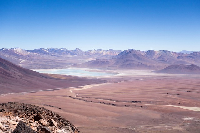 Satellite monitoring of desert greening progress
