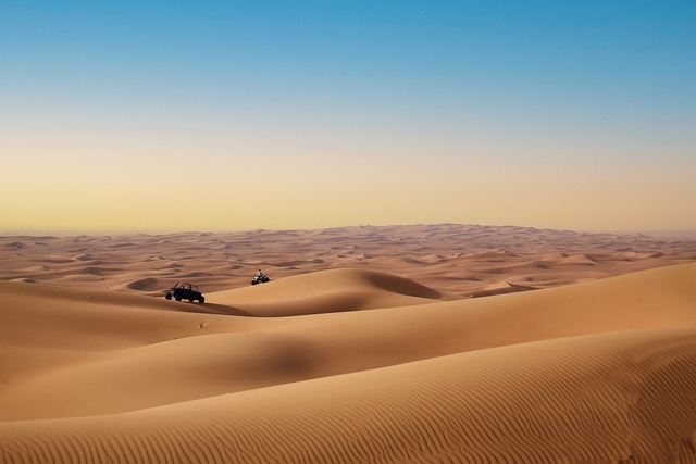 Desert greening project showing transformed arid landscape