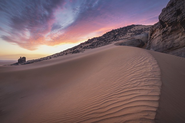 Satellite monitoring of desert greening progress