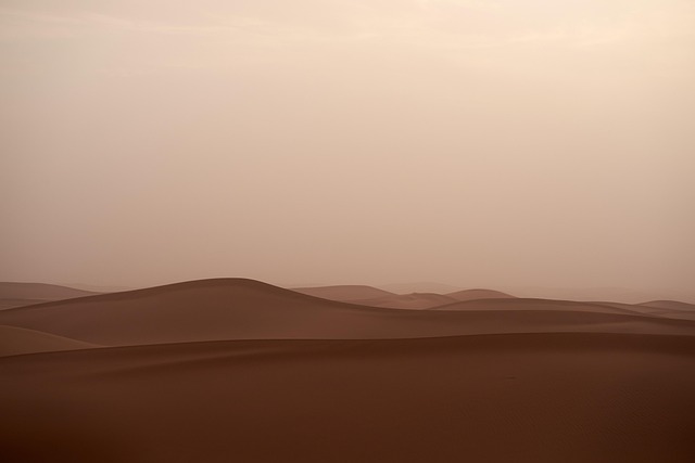 Local communities engaged in desert restoration