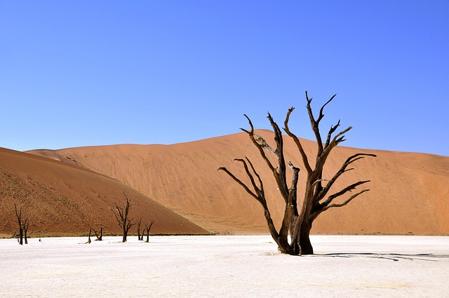 Innovative water management system in desert region