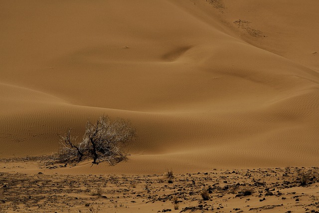 Solar energy installation in desert area
