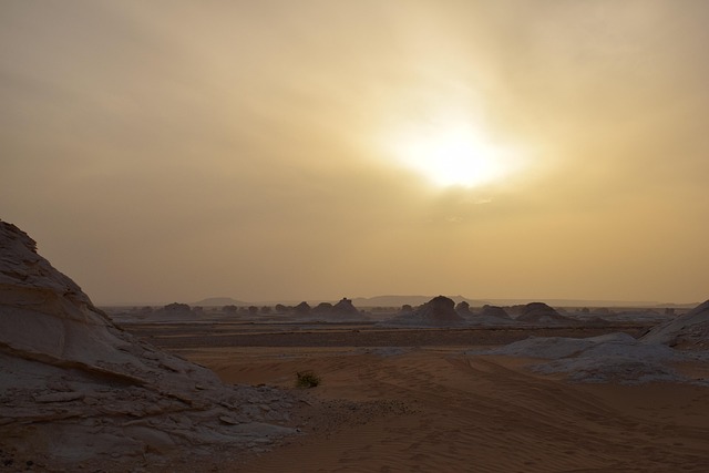 Overcoming challenges in desert greening