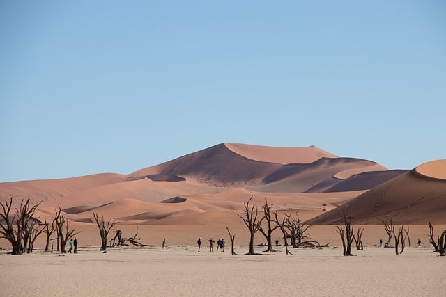 Innovative water management system in desert region