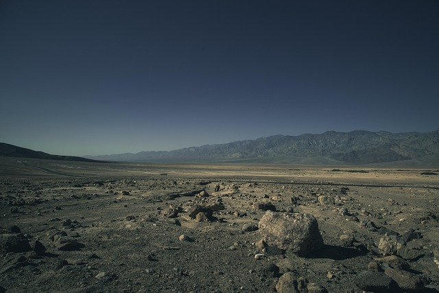Satellite monitoring of desert greening progress