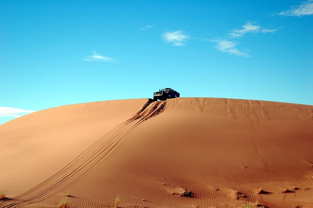 Native desert plants and drought-resistant vegetation