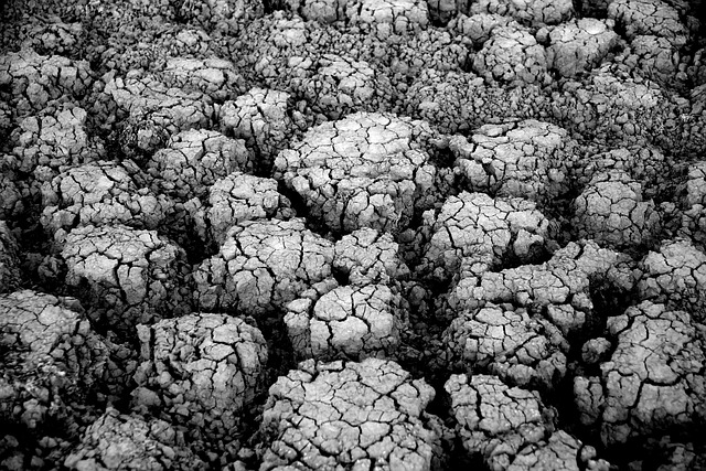 Satellite monitoring of desert greening progress