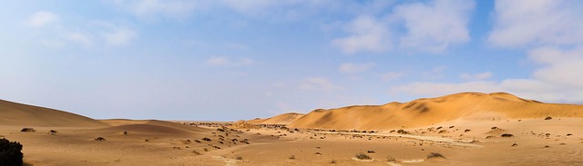 Satellite monitoring of desert greening progress