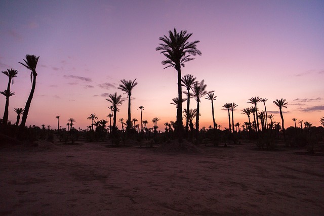 Innovative water management system in desert region