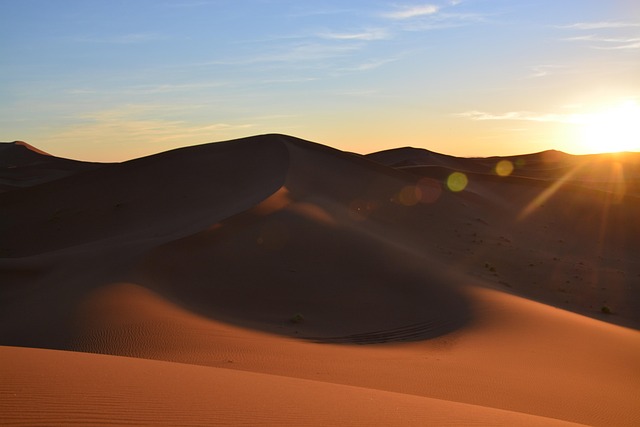 Overcoming challenges in desert greening