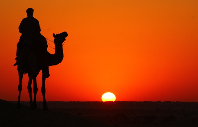 Saudi's Terraxy Secures USD 3M to Scale Cutting-Edge Desert Greening Technology - desert greening