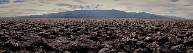 Saudi's Terraxy Secures $3M to Scale Cutting-Edge Desert Greening Tech - desert greening