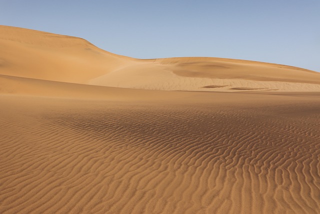 Saudi's Terraxy Secures USD 3M to Scale Revolutionary Desert Greening Tech - desert greening