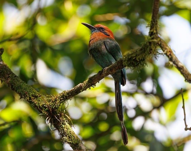 Technology and Remote Sensing