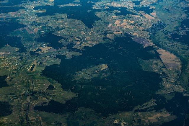 LiDAR 3D point cloud map of forest structure and canopy height