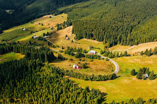 Satellite tracking of reforestation and forest restoration progress
