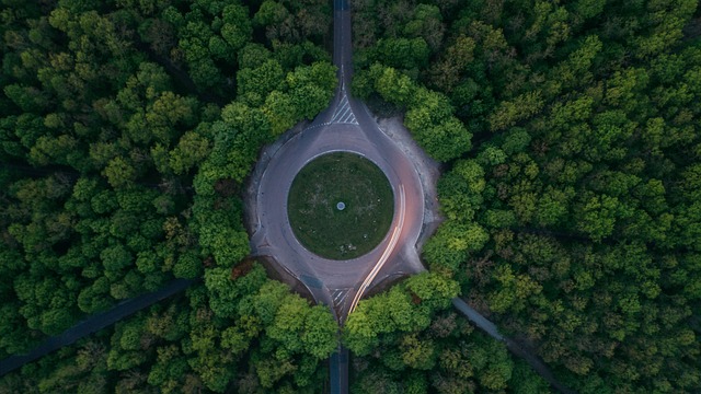 Satellite imagery detecting deforestation and forest loss