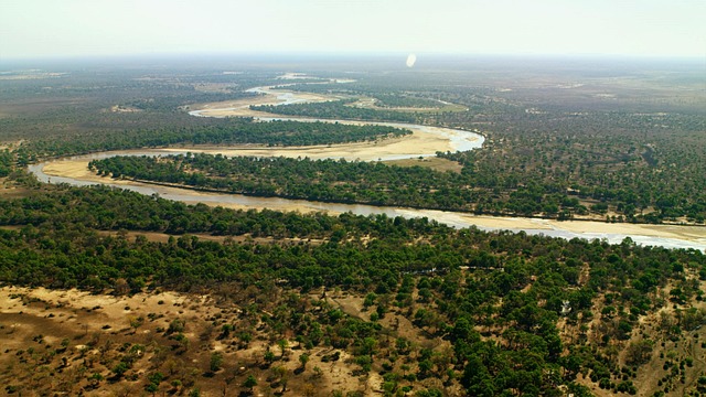 Aerial view of urban tree canopy and city green cover