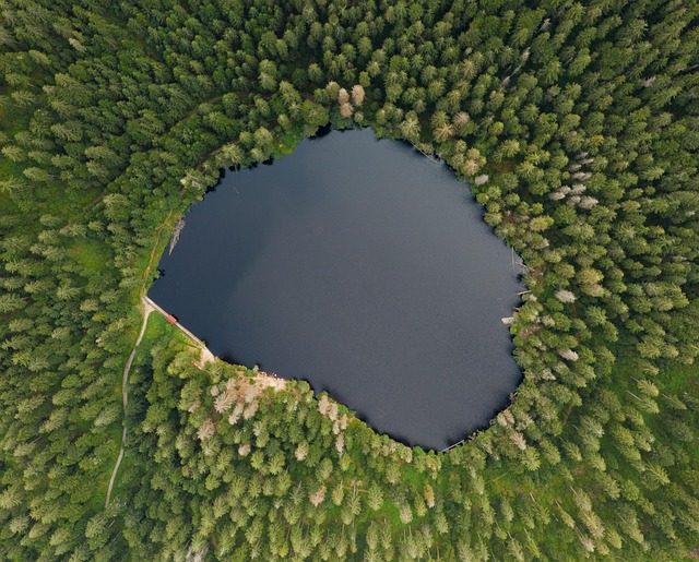Forest carbon stock measurement using satellite remote sensing