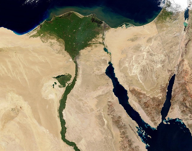 Data analytics dashboard for satellite forest monitoring