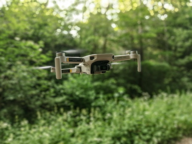 Satellite tracking of reforestation and forest restoration progress