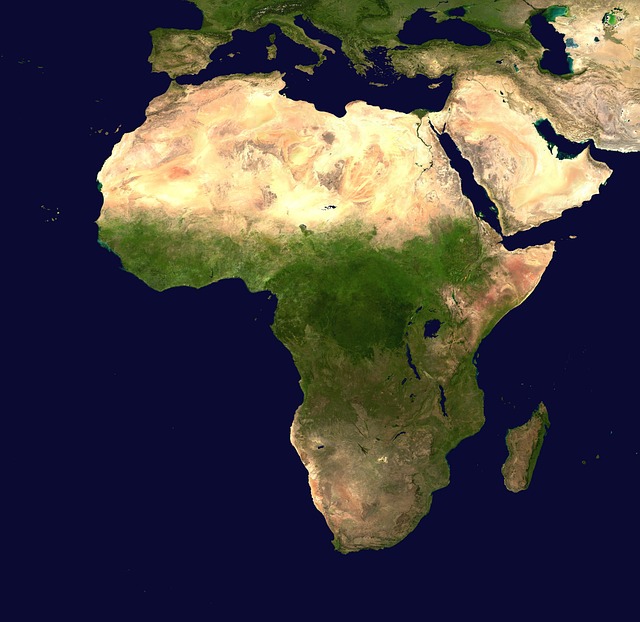 Data analytics dashboard for satellite forest monitoring