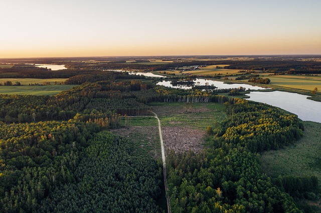 Satellite habitat map showing forest biodiversity and ecosystem connectivity