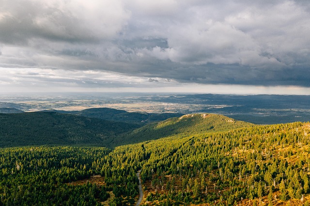Greek Researchers Develop National Satellite Forest Monitoring System - satellite monitoring tree conservation