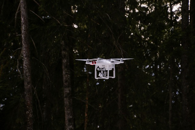 New AI-Ready Dataset Revolutionizes High-Resolution Forest Disturbance Mapping - satellite monitoring tree conservation