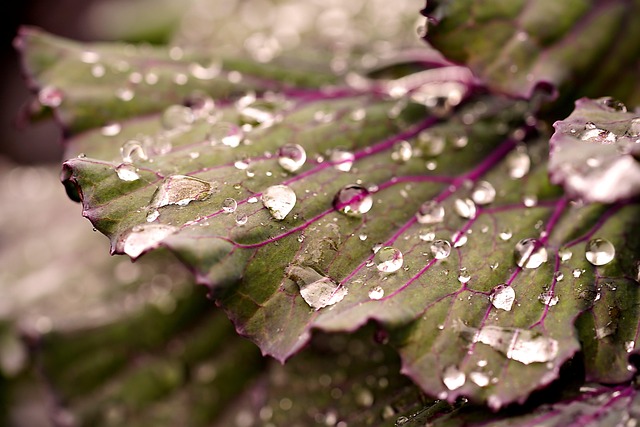 Stress Accumulation and Delayed Decline