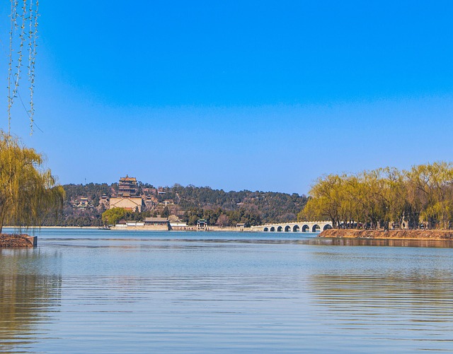 Water Availability and the Slow Economics of Trees