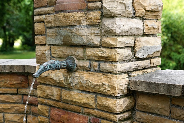 Fungal Networks and Underground Cooperation